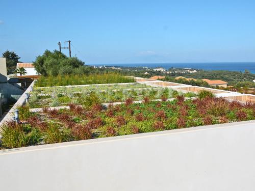 Extensive green roofs in front of the sea